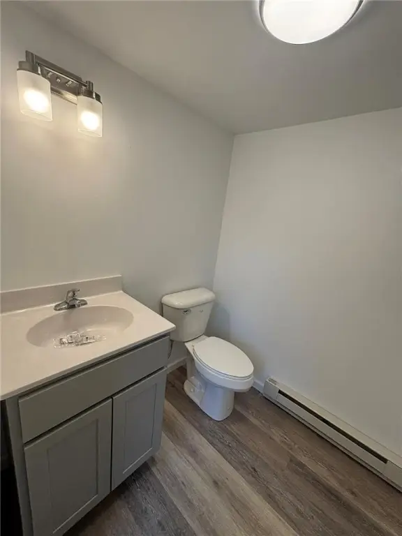 Picture 24
