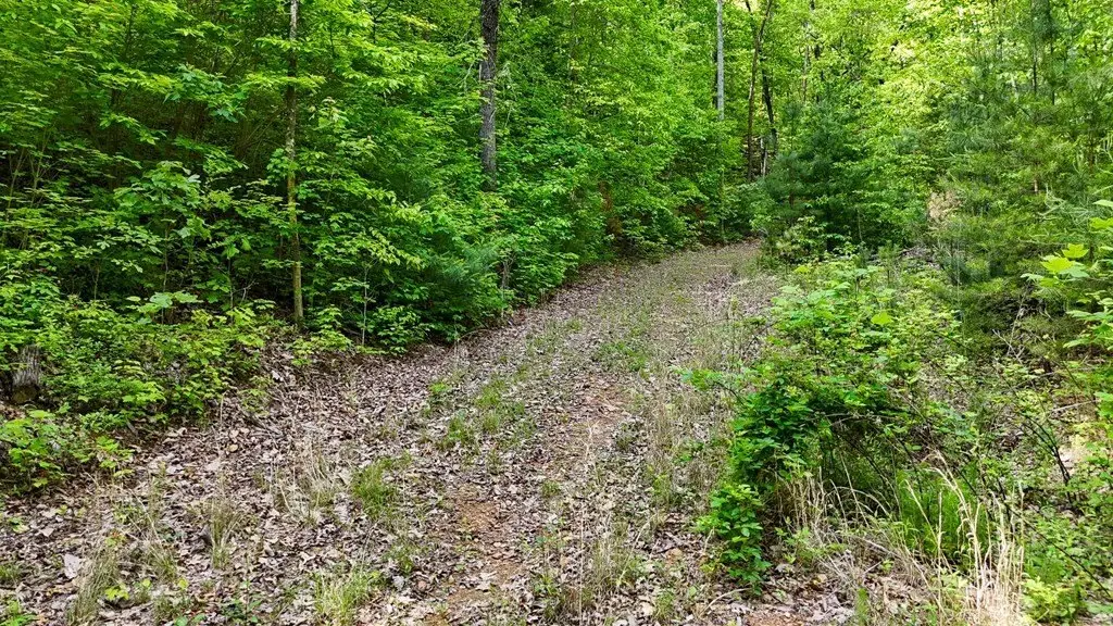Picture 4