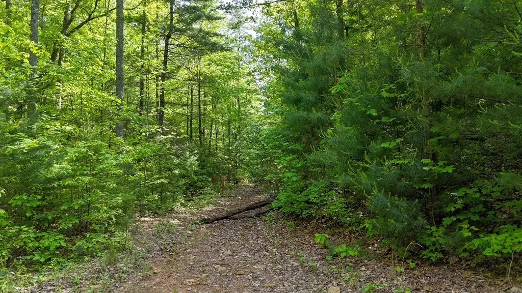 Picture 2