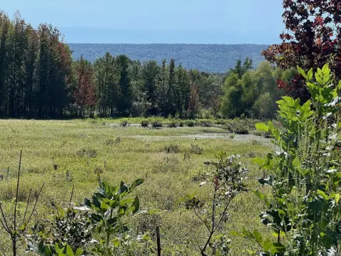 20.64 Acres with Highway Frontage