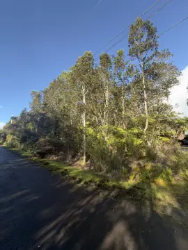 Vacant Land in Mauna Loa
