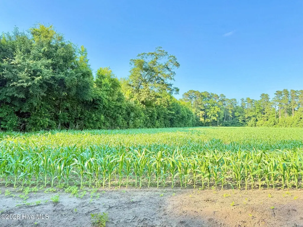 Picture 29