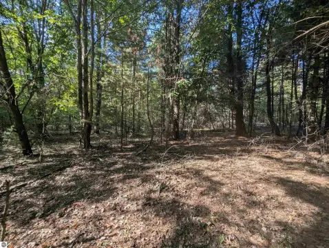 Wooded Lot in Forest Lake