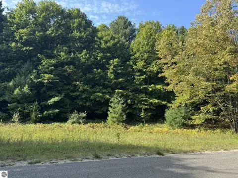 Residential Land in Cedar, MI