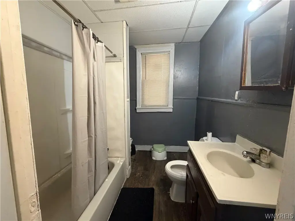Picture 6