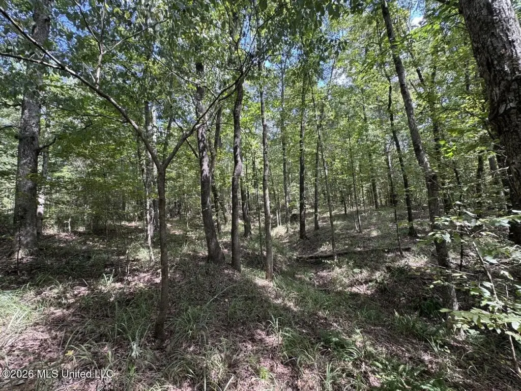 Picture 16
