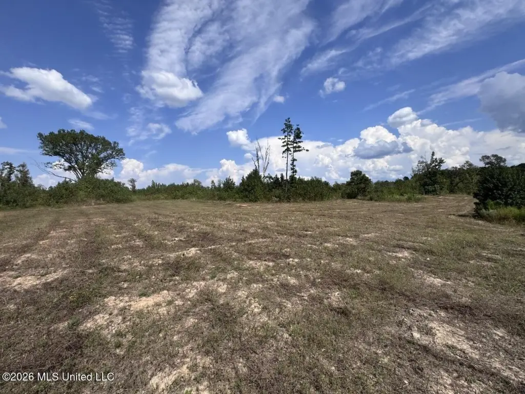 Picture 36