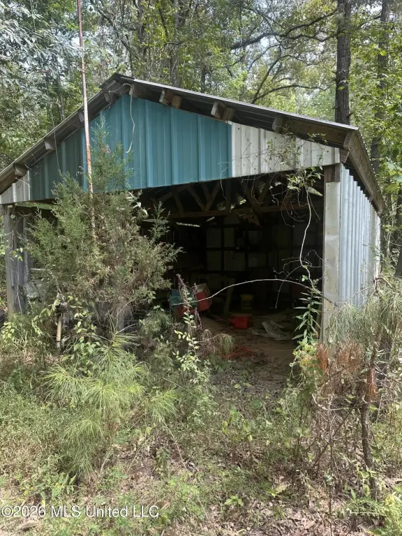 Picture 14