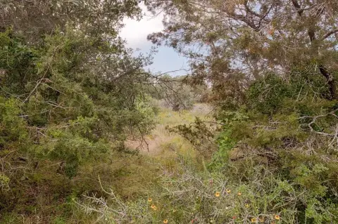 Residential Land Near Lake LBJ