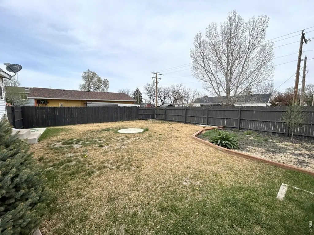 Picture 24