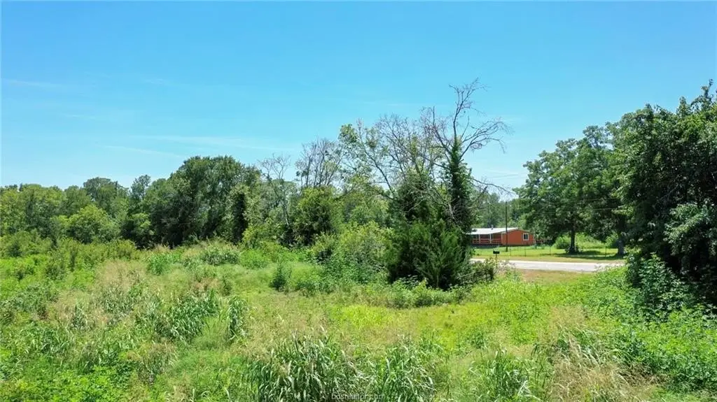 Picture 9