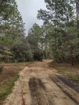 Land in North Florida
