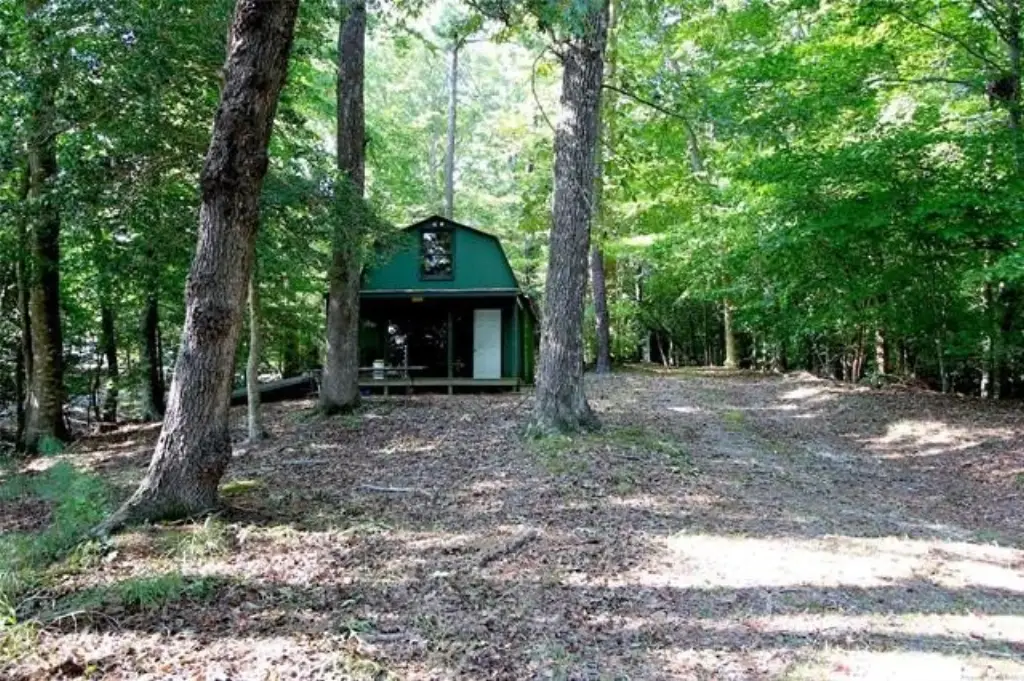 Picture 4