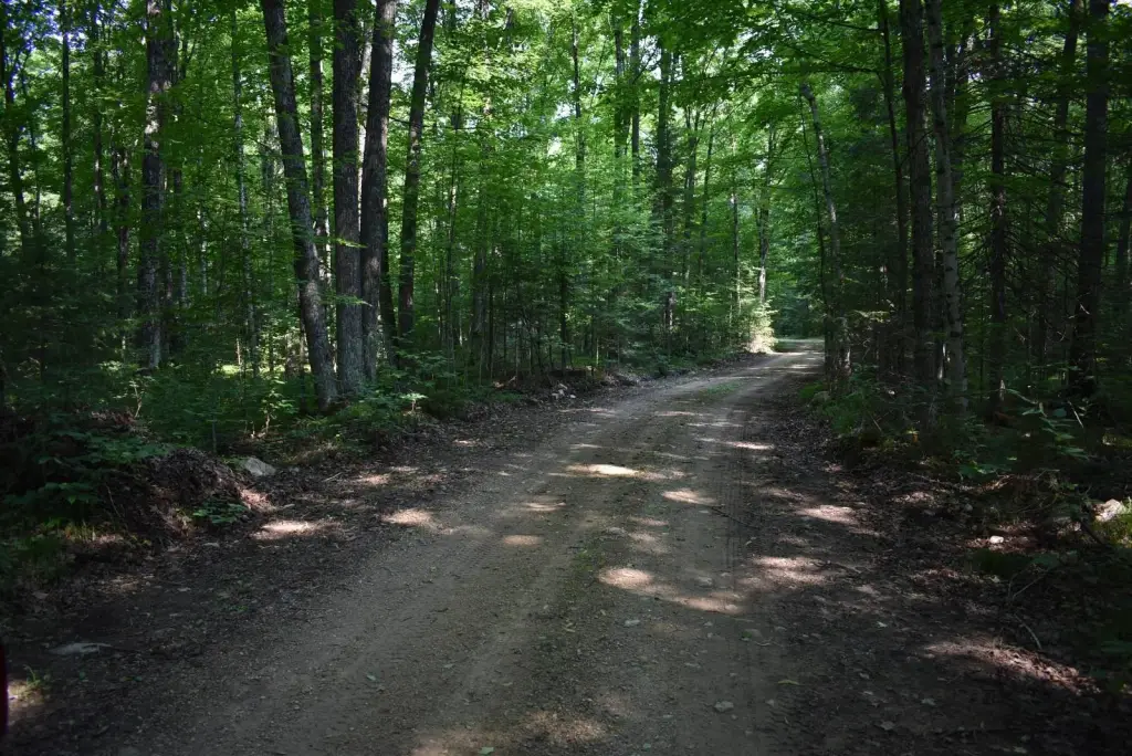 Picture 27