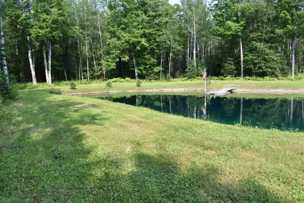 Picture 14