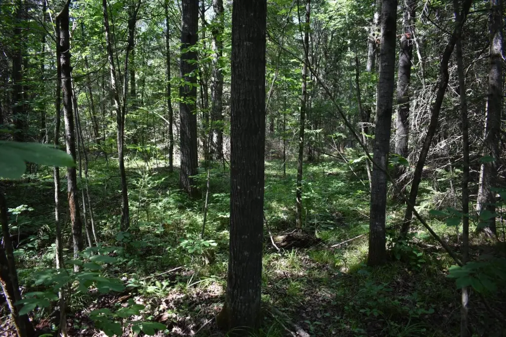 Picture 16