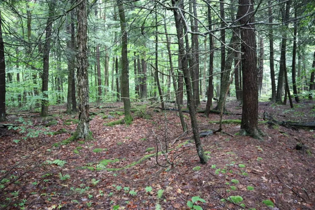 Picture 25