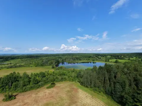 Farmland with Lake and Timber