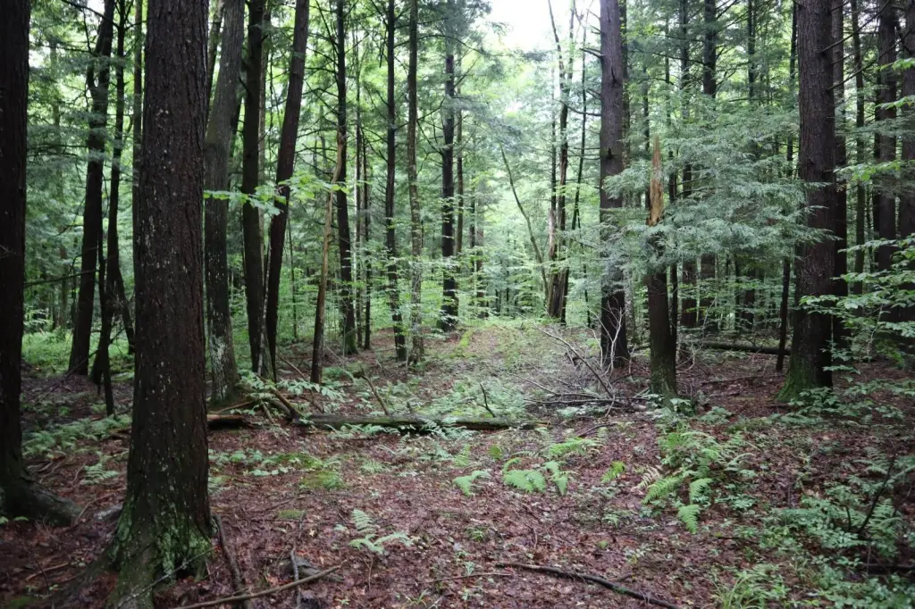 Picture 48