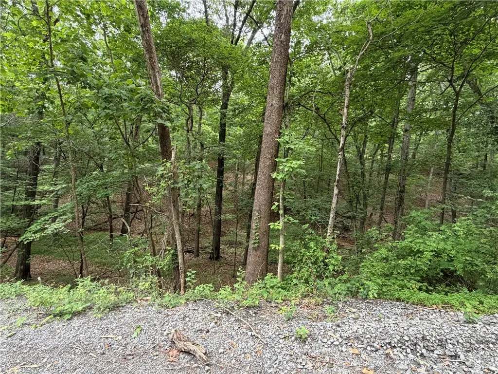 Picture 10