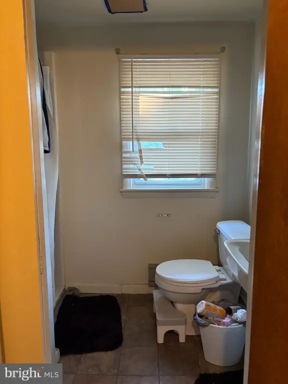 Picture 14