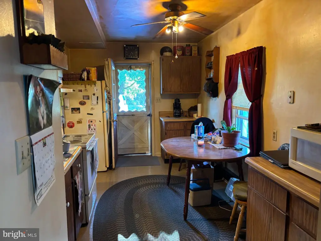 Picture 5