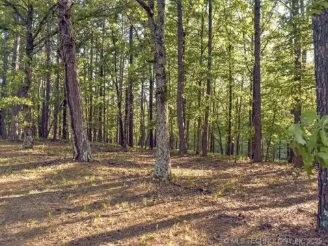 Flint Ridge Resort Lot