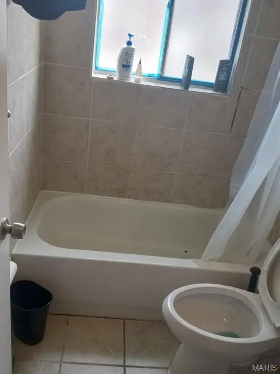 Picture 24
