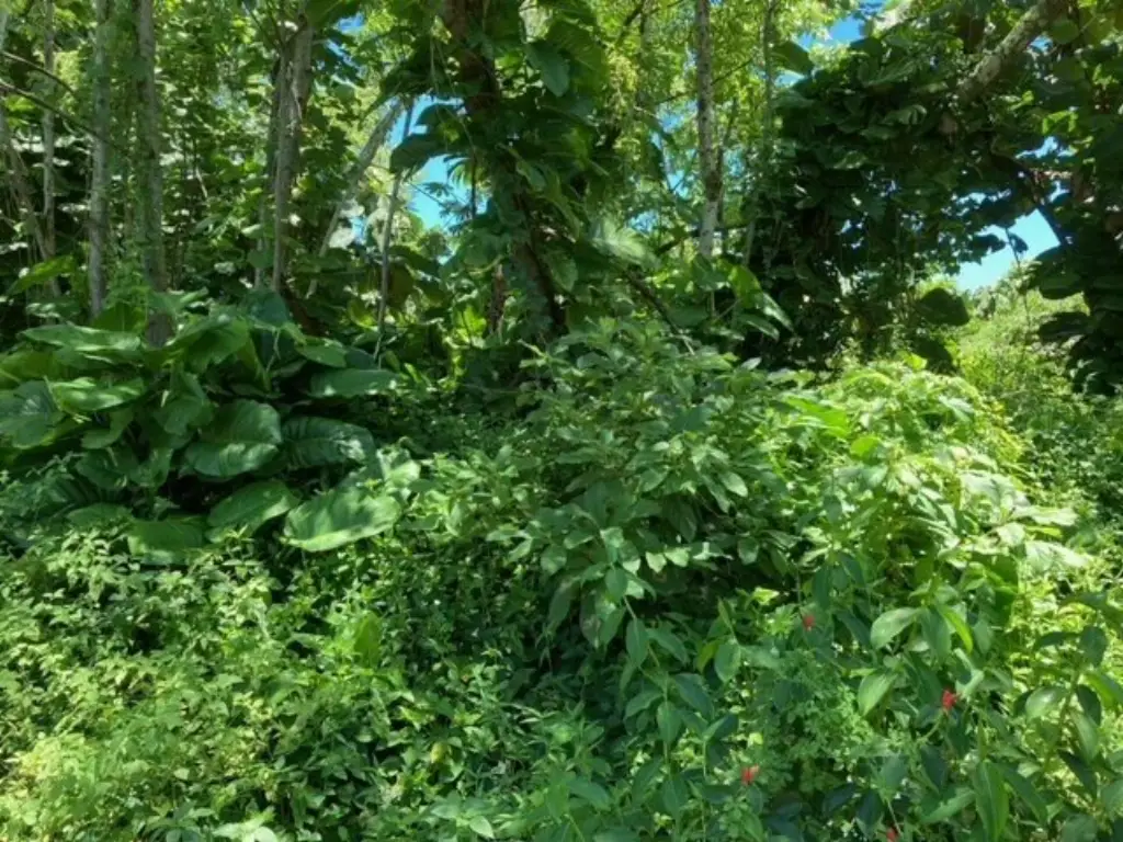 Picture 5