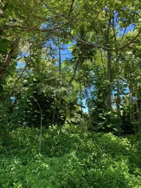 Picture 8