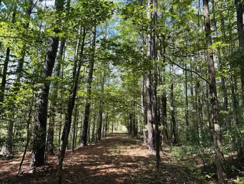 Land Parcel Near Petersburg Casino
