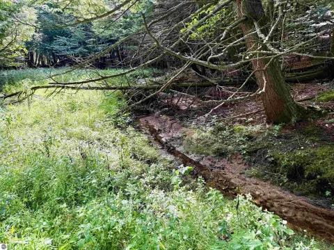 Leelanau County Wooded Acreage