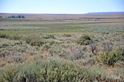 80 Acres Hunting and Recreation