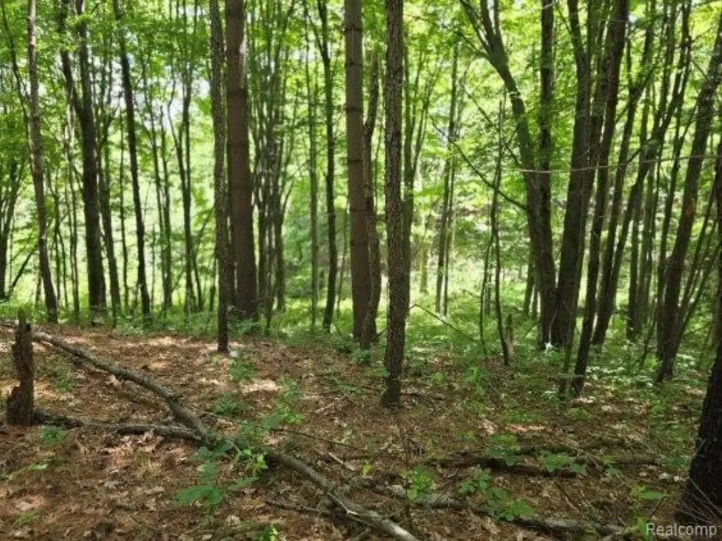 Picture 39