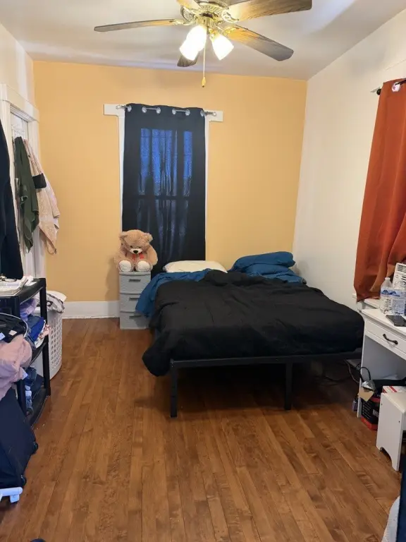 Picture 17