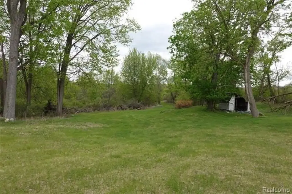 Picture 5