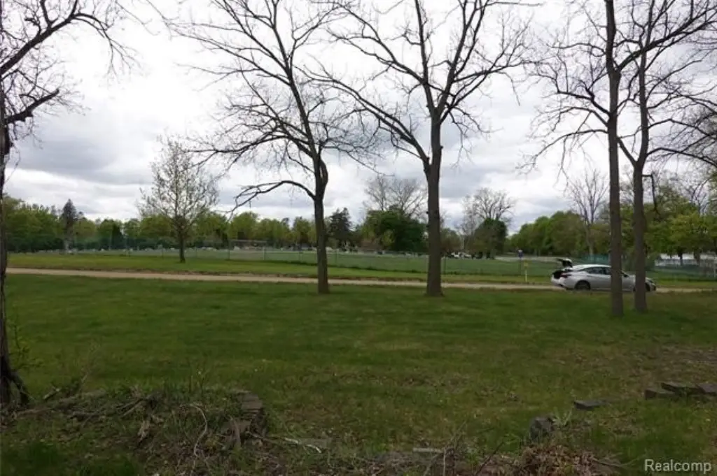 Picture 4