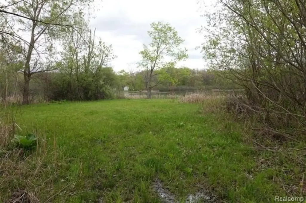 Picture 7