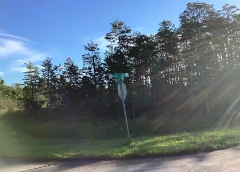 Orlando Land in Wedgefield Cape