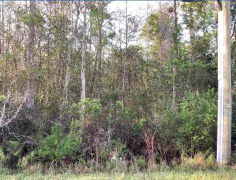 Orlando Vacant Land Opportunity
