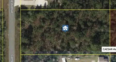 Orlando Land in Wedgefield