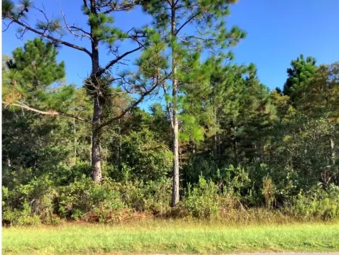 Residential Land in Cape Orlando