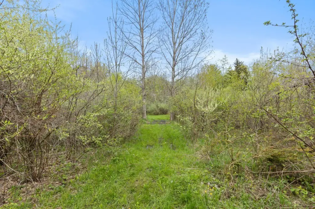 Picture 14