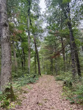 Waterfront Hunting Land