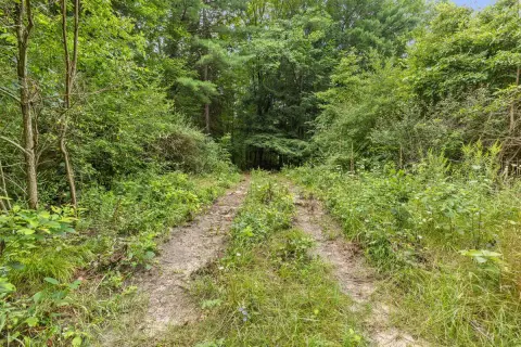 Wooded Lakefront Land