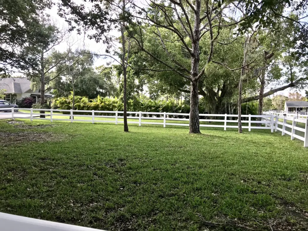 Picture 30