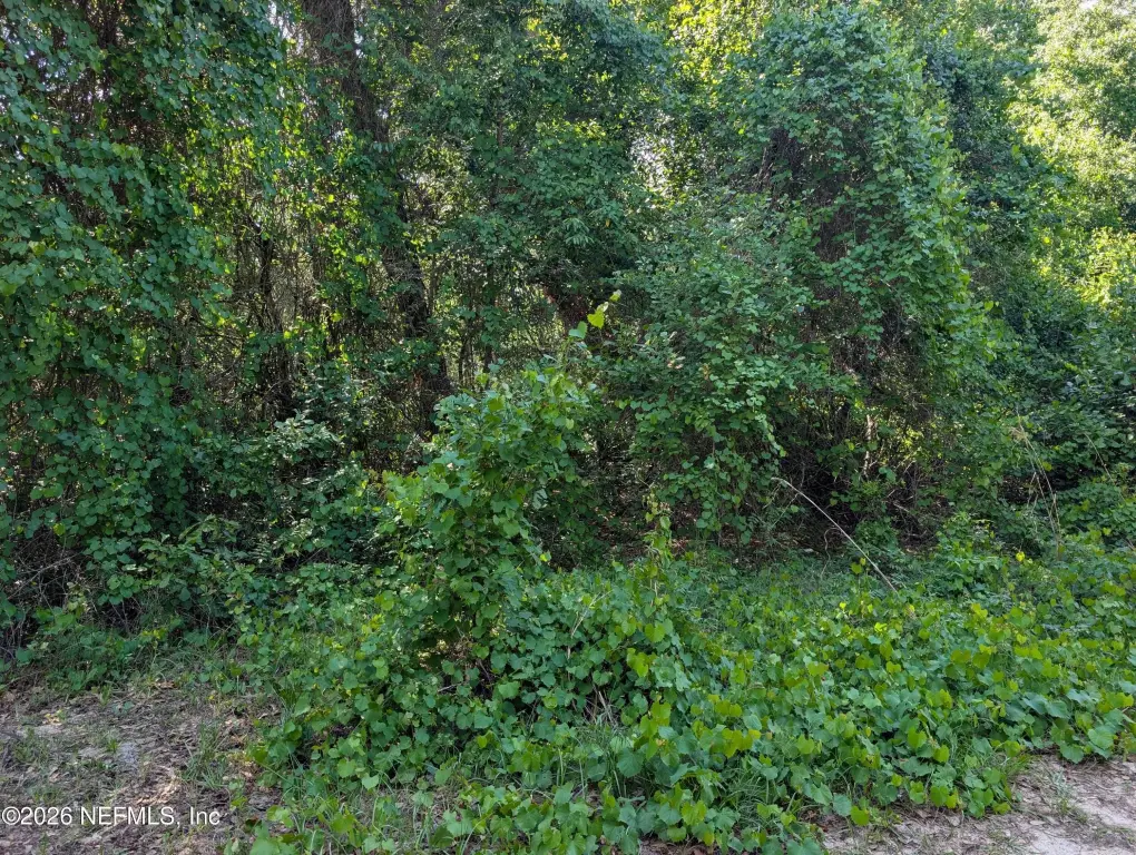 Picture 5