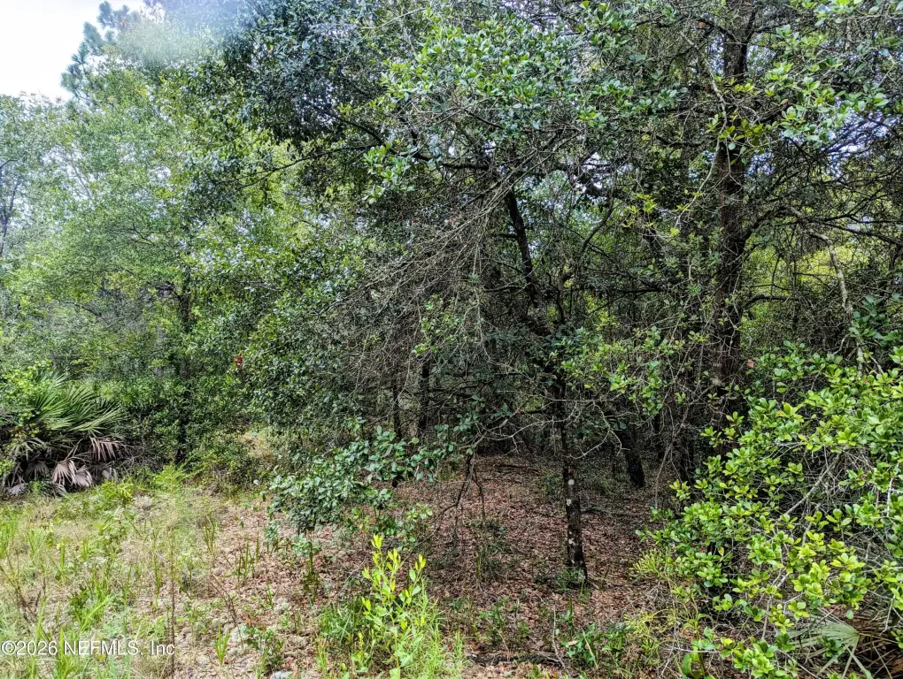 Picture 4