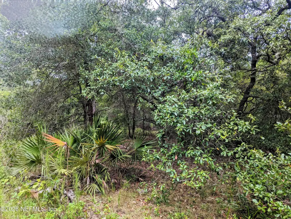 Picture 6