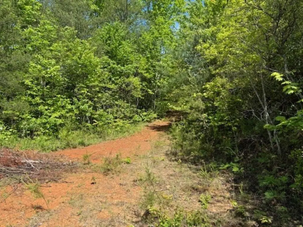 Picture 2